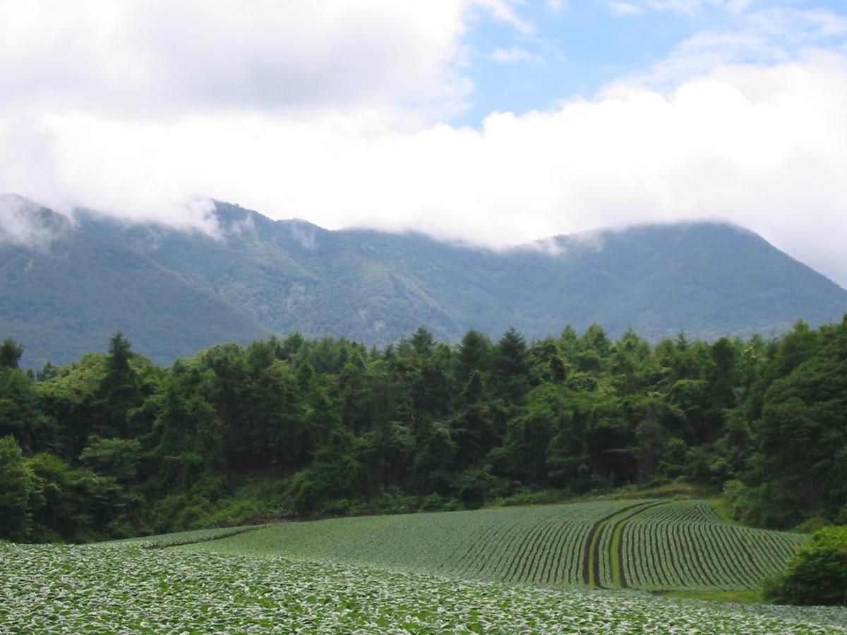 Le Grand Kyu Karuizawa Hotel Kültér fotó