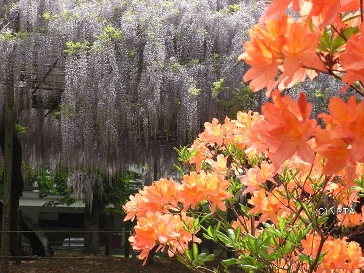 Le Grand Kyu Karuizawa Hotel Kültér fotó